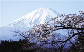 富士山最新爆料新闻,揭秘神秘火山喷发前的征兆与应对措施  第1张
